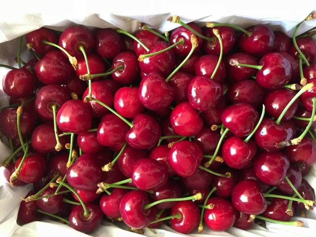 Trong quả cherry có 1 bộ phận cực độc, có thể gây ngộ độc nặng dẫn đến tuvong