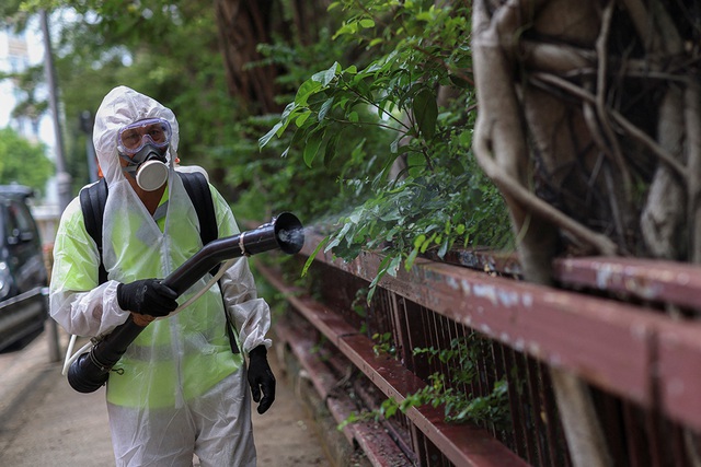 Toàn cảnh dịch Chikungunya lan rộng toàn cầu: Trung Quốc ghi nhận hơn 7.000 ca, Mỹ phát cảnh báo