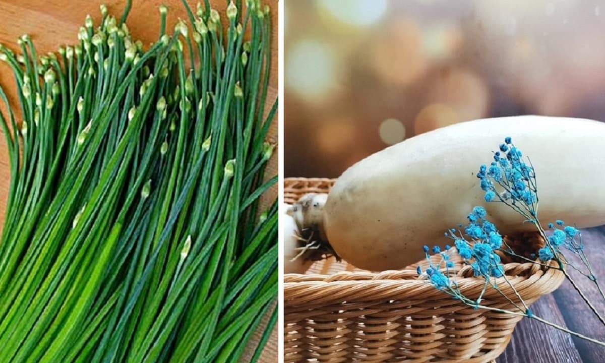 Người xưa nói: “Nam không thể thiếu lá hẹ, nữ không thiếu ngó sen”, thực hư ra sao?