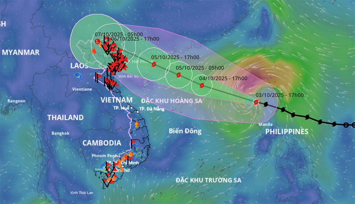 Chuyên gia: Bão số 11 Matmo mạnh lên nhanh trong ngày mai, cực đại cấp 12-13
