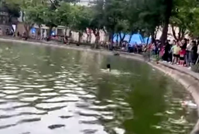 Thông tin vụ cô gái đuối nước tuvong ở hồ Hoàn Kiếm (Hà Nội)