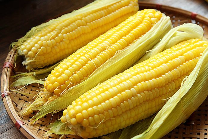 Ăn ngô luộc cực hại với 5 nhóm người này