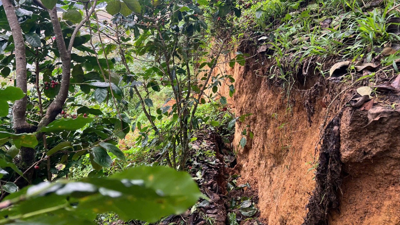 Quả đồi ở Lâm Đồng xuất hiện vết nứt dài hơn 100m, khẩn trương di dời người dân