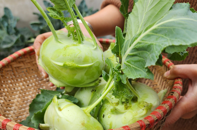 Đây là 3 nhóm người nên hạn chế ăn su hào vì sẽ khiến bệnh của bạn nặng thêm