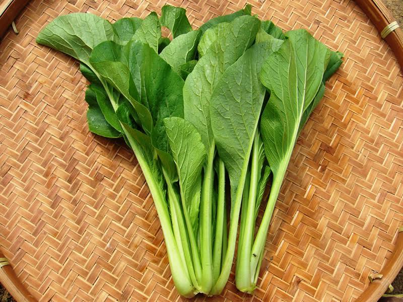 BS Bệnh viện K tiết lộ thường xuyên ăn rau cải, phòng ngừa 4 bệnh này