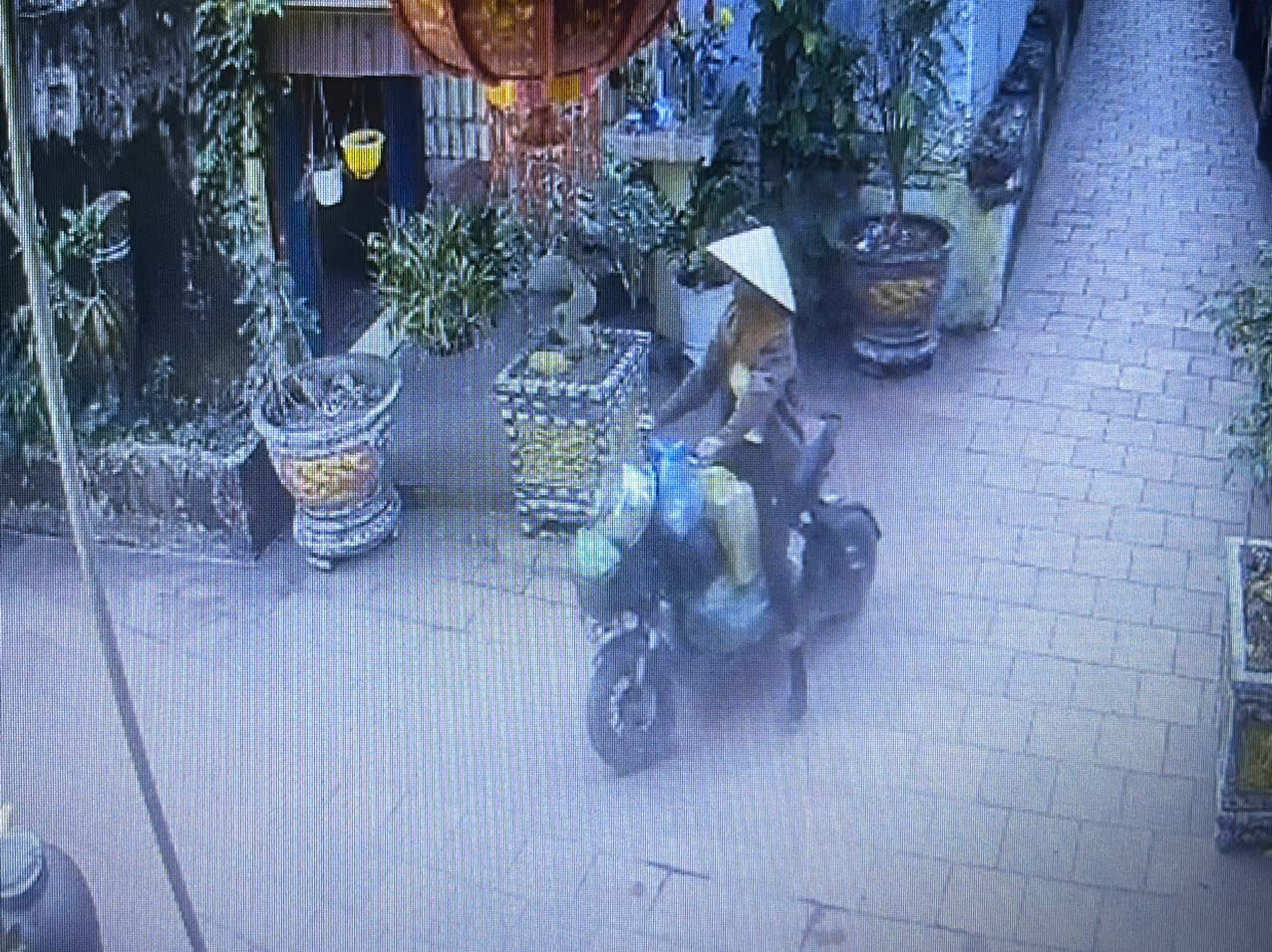 Khám xét khẩn cấp nơi ở, bắt giữ Nguyễn Thị Chung